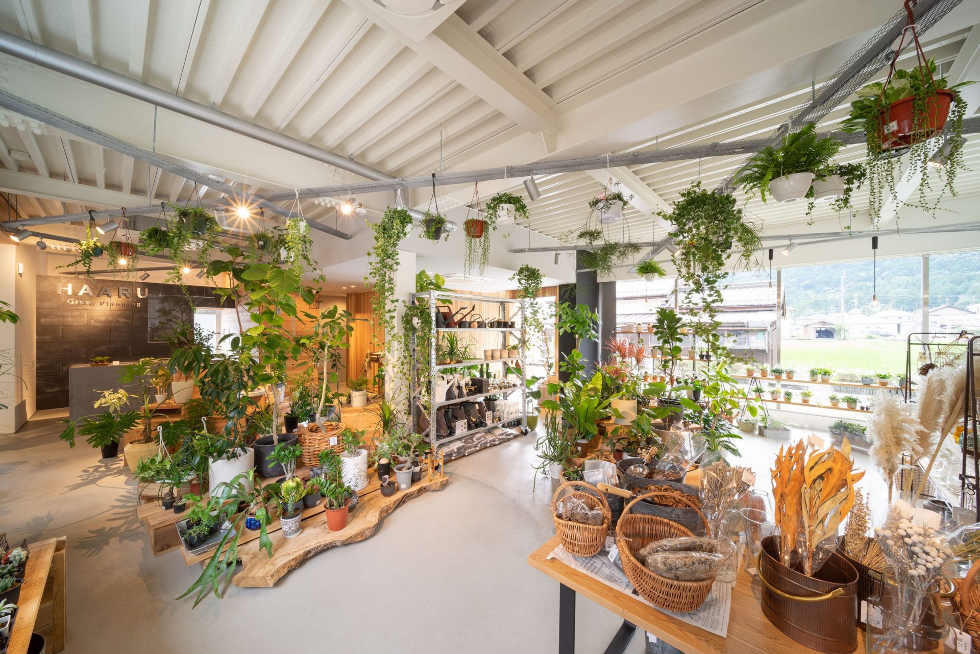 SAWAMURAプロデュース！観葉植物と庭づくりの店「HAARU」OPENしました